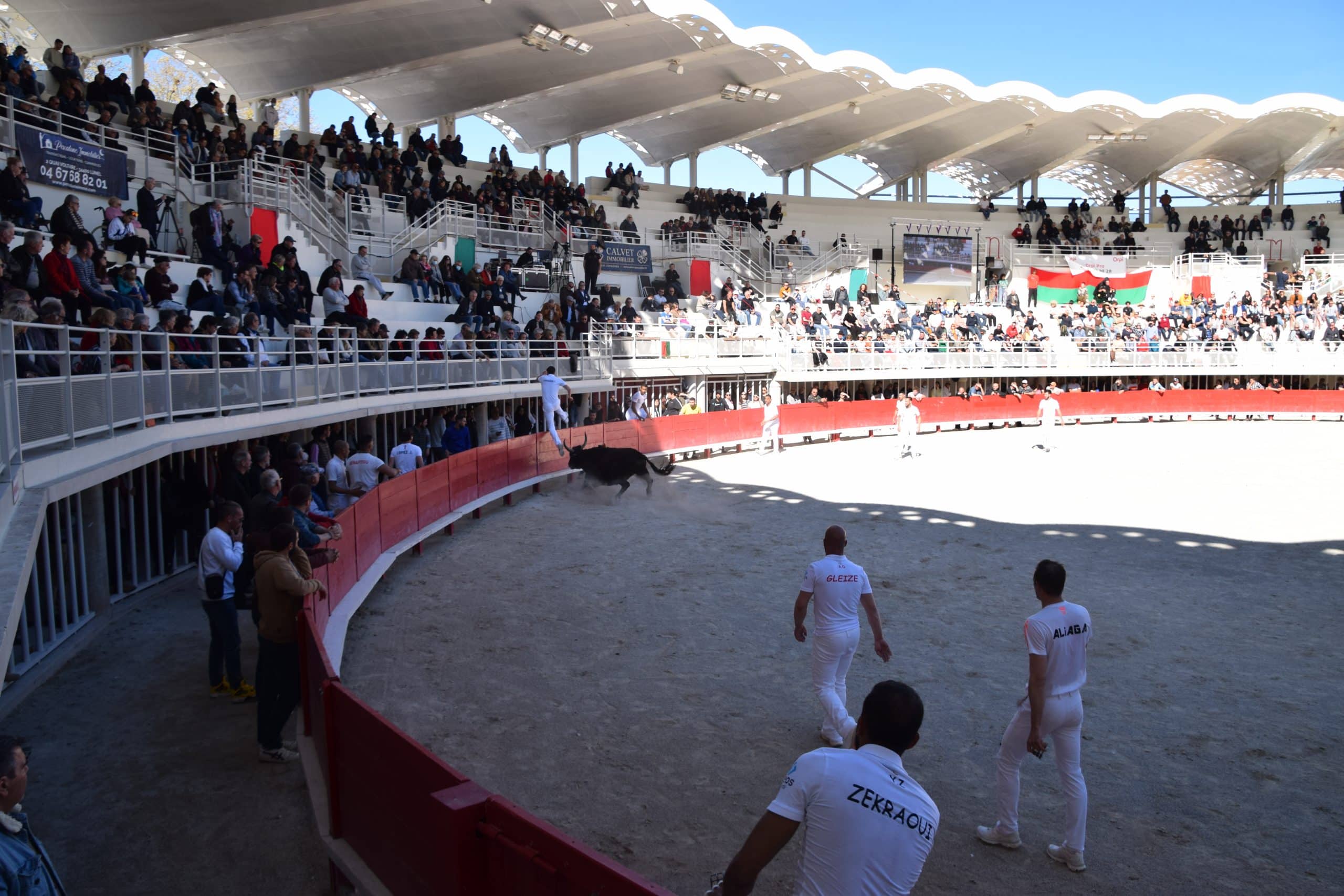 Première course aux arènes de Lunel