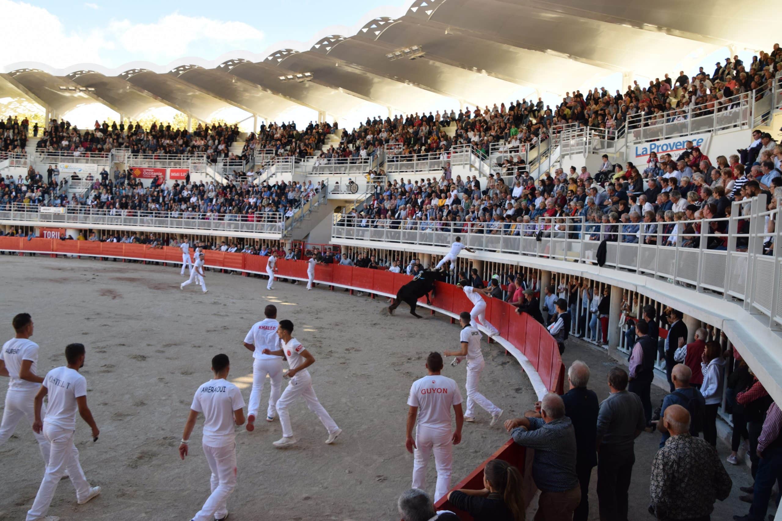 Ville de Lunel – course camarguaise Ville de Lunel - course camarguaise