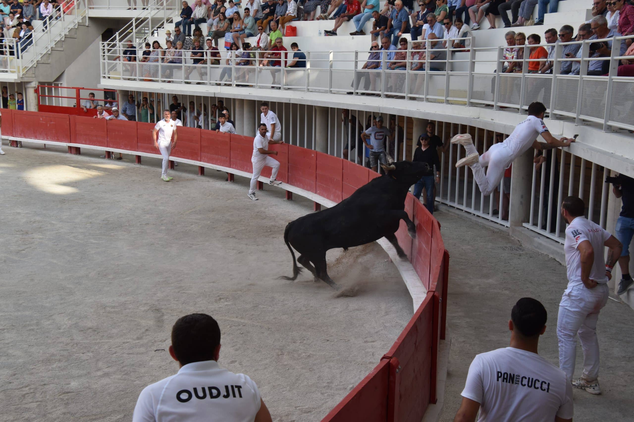 Une course solidaire aux arènes de Lunel