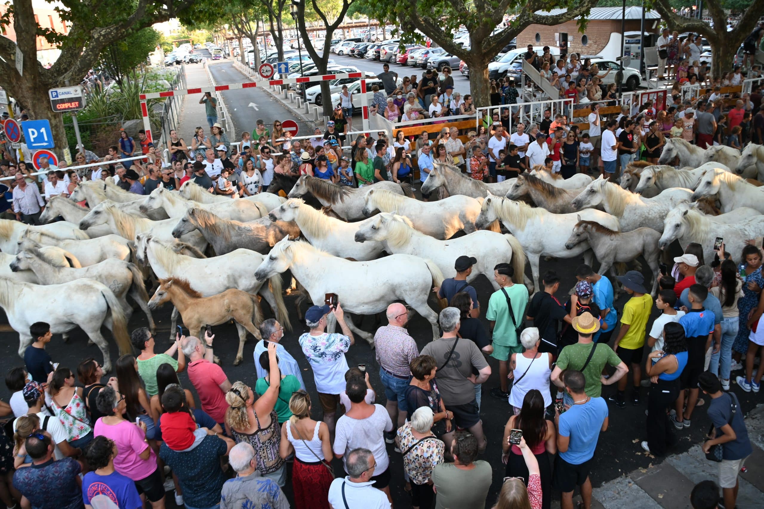 La Pescalune 2022 – 4ème jour de festivités