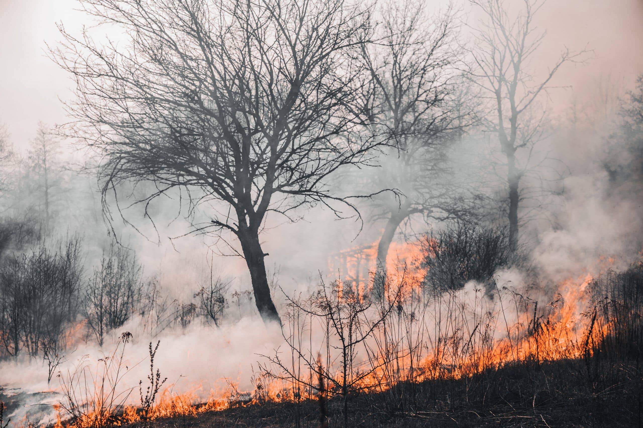 prévention incendies tous concernés