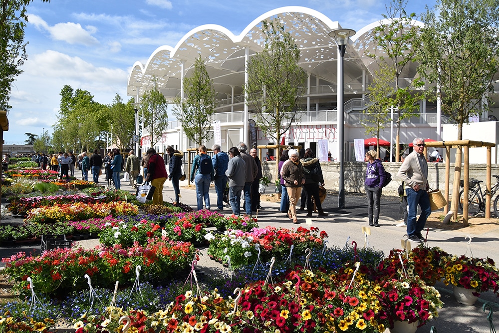 Les marchés maintenus pendant le Revivre