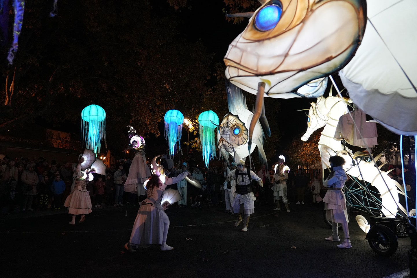 La célèbre Sainte-Lucie a fait son retour à Lunel