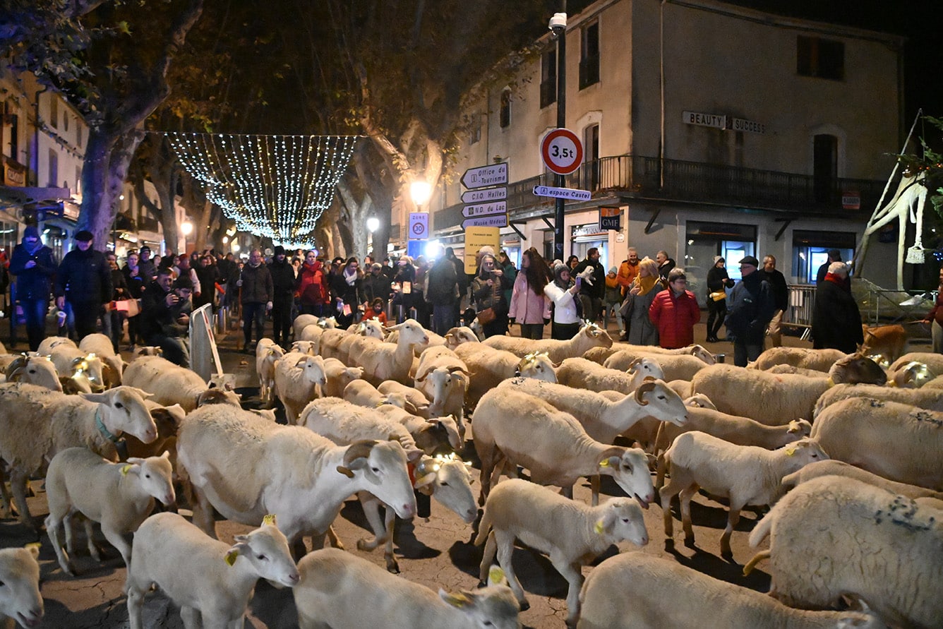 La Transhumance : un retour réussi