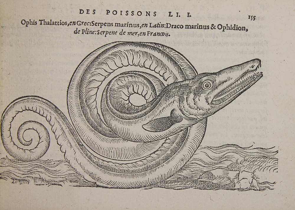 Les Petits Bibliophiles : Fabrication de monstres marins