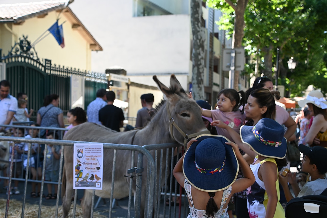 Foire aux Bestiaux