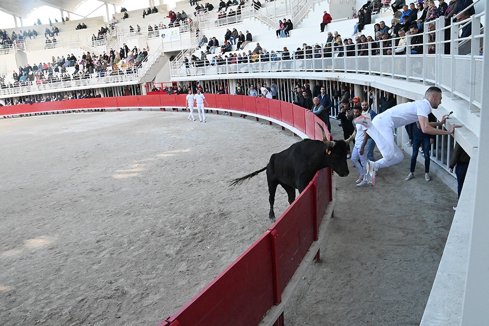 Levé de rideau sur la saison taurine