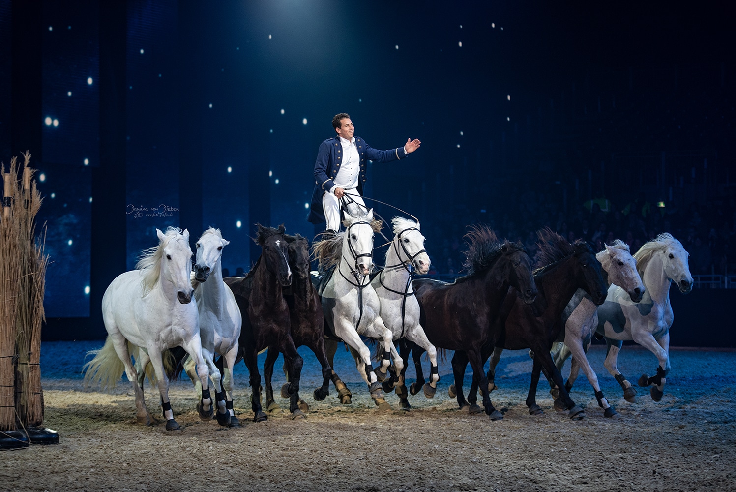 Le Salon du Cheval Grand Sud