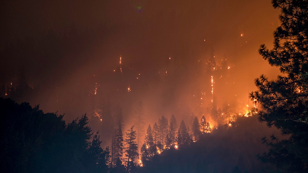 Interdiction exceptionnelle d’emploi du feu pour une période d’un mois