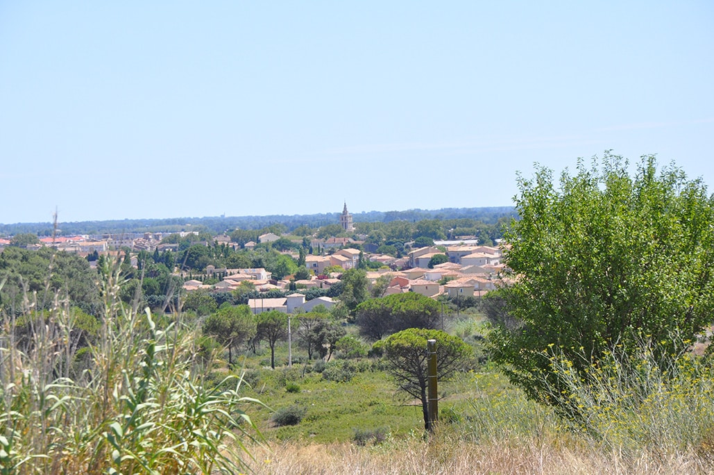 Opération de débroussaillage de la Garrigue