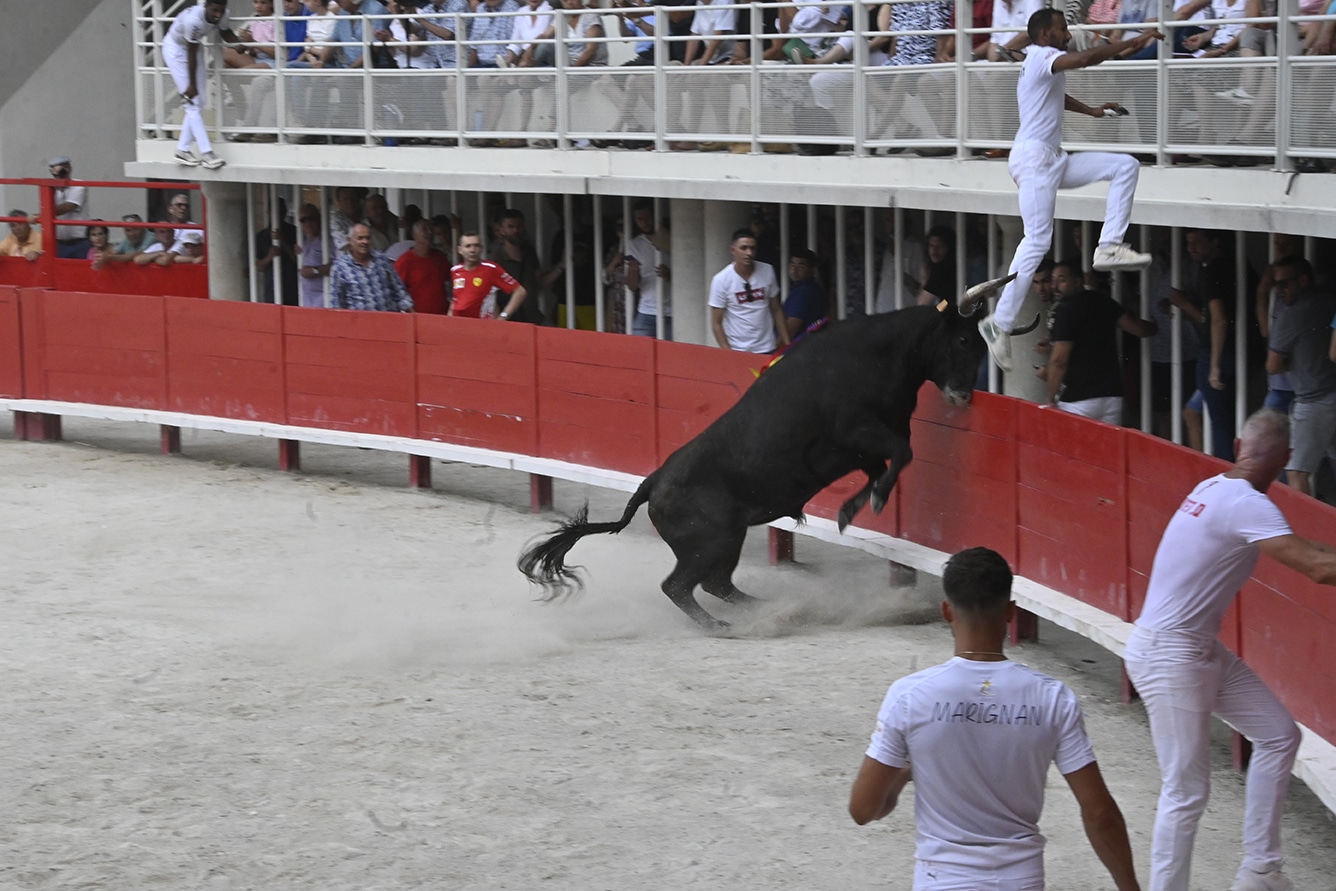 Pescalune : les images du jour 2