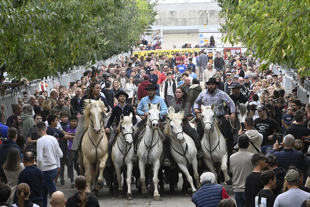 Retour en images sur ce Revivre 2023