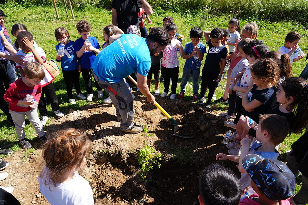 Un arbre pour bien grandir prend racine !