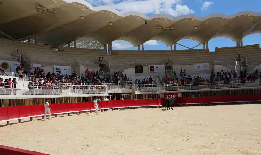 Journées pédagogiques : les élèves aux arènes