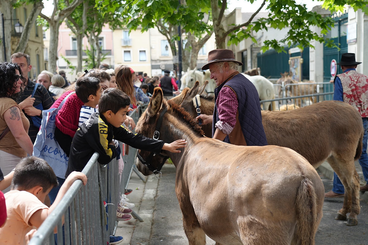 La Foire aux Bestiaux