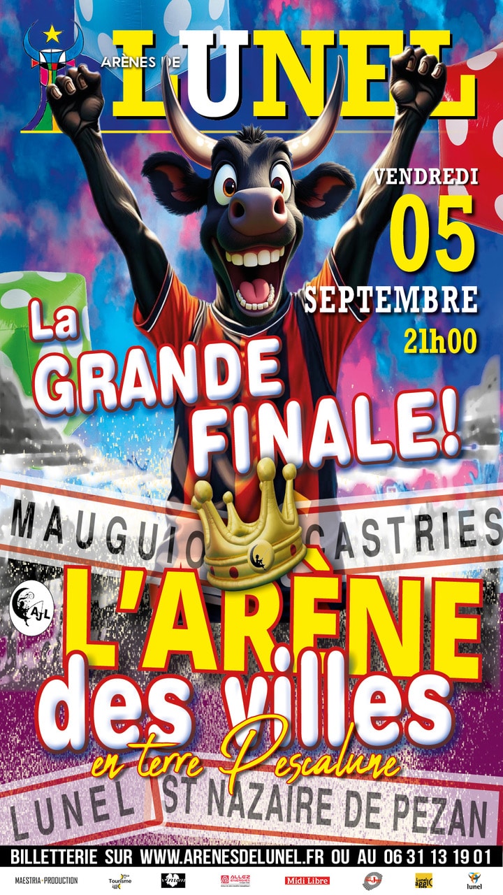 L'Arène des Villes - la Finale