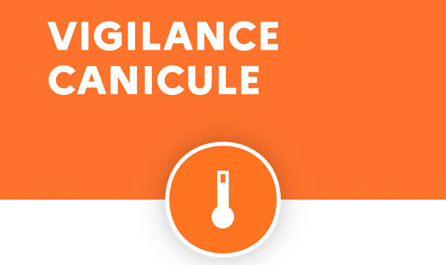 Vigilance orange canicule : les bons réflexes