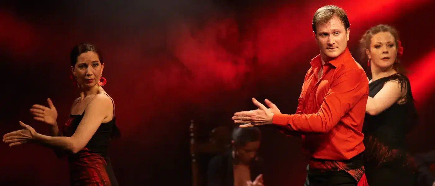 Spectacle « Flamencos de Francia"