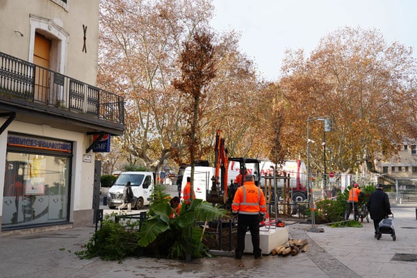Cœur de ville : les plantations sont en cours